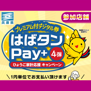 202412神戸はばタンpay+POP_バナー